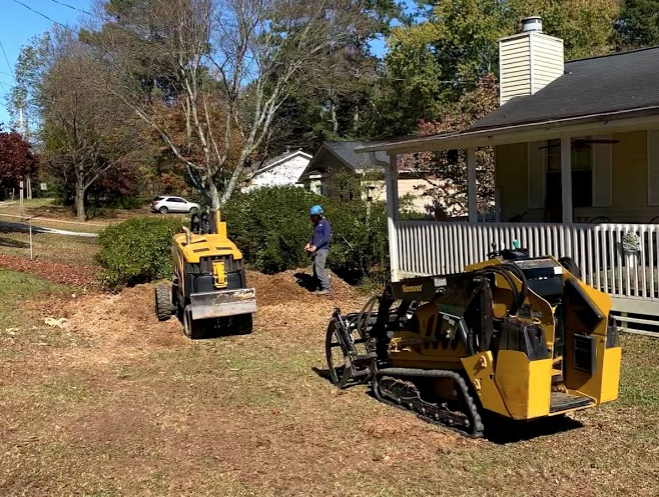 Removing a stump in Marietta